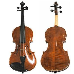 STENTOR ARCADIA VIOLIN 4/4