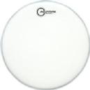 AQUARIAN RESPONSE II CLEAR 10" RSP210 PARCHE