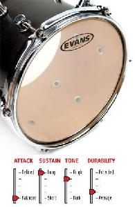 EVANS CLEAR TTG1 13"  PARCHE