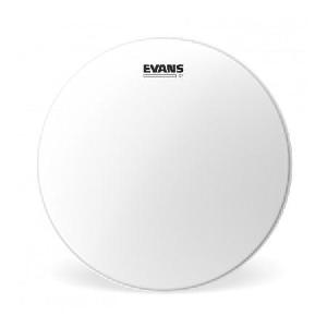 EVANS BG1 COATED 22" BD22G1CW PARCHE