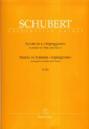 FLP SCHUBERT SONATA  LAm  D821 "ARPEGGIONE" *OFERTA*