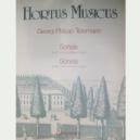 3VP TELEMANN SONATA HORTUS MUSICUS *OFERTA*