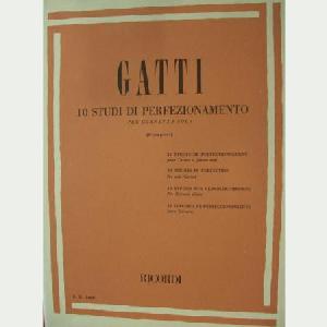 TP GATTI 10 ESTUDIOS DE PERFECCIONAMIENTO OFERTA